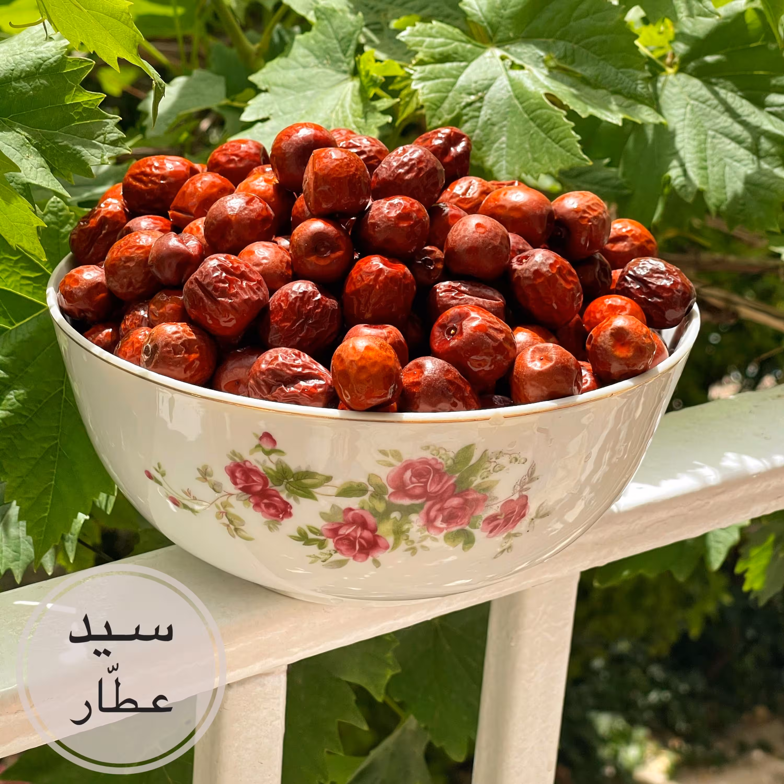 عناب (100 گرمی)