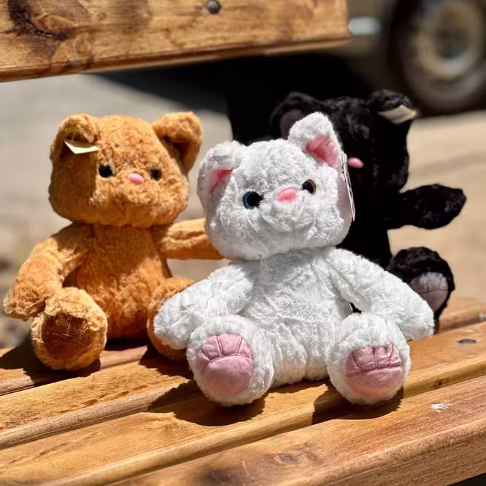 گربه نشسته موزیکال پنجه‌دار
