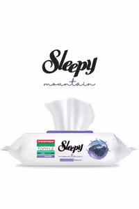 دستمال مرطوب همه کاره اسلیپی رایحه کوهستان بسته 100 عددی