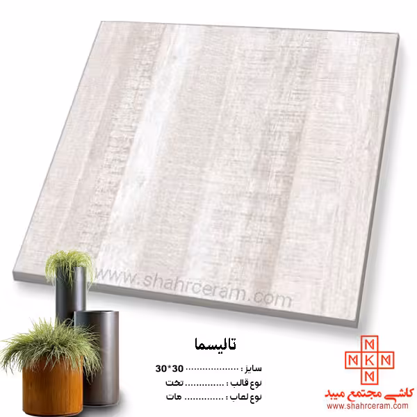 سرامیک تالیسما 30*30  کاشی مجتمع