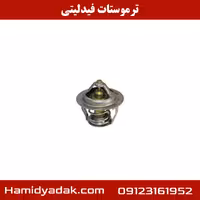ترموستات فیدلیتی