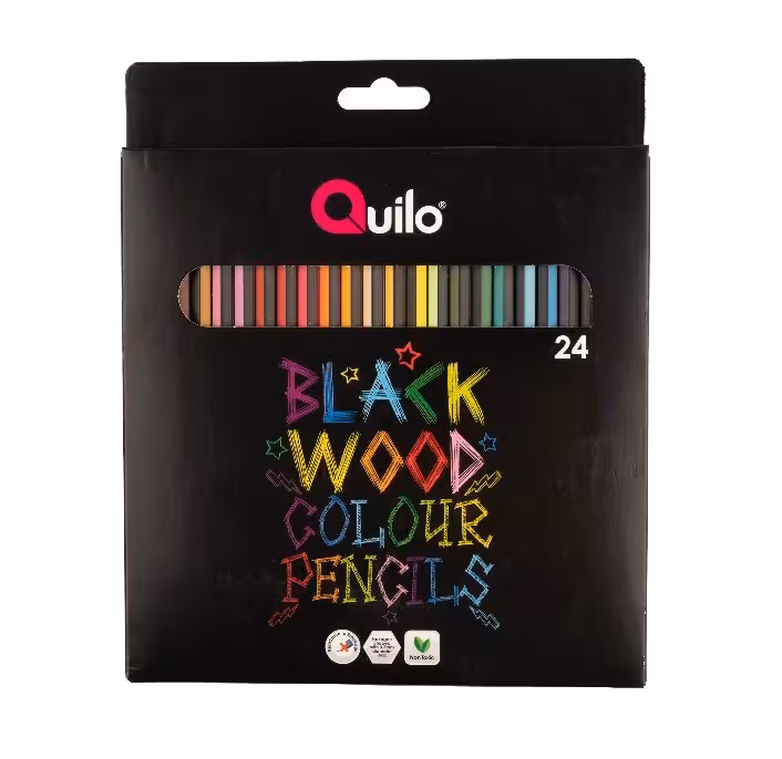 مداد رنگی رنگهای خاص 24 رنگ جعبه مقوايی کوییلو