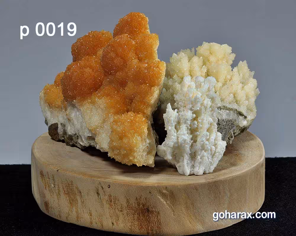 کالکشن سنگ های زینتی بر روی پایه چوبی