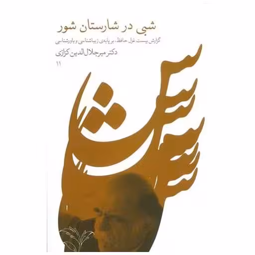کتاب شبی در شارستان شور اثر میر جلال الدین کزازی
