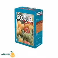 اکوکوئل روی فروغ دشت