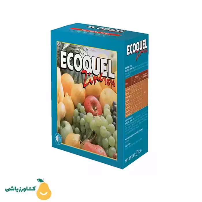 اکوکوئل روی فروغ دشت