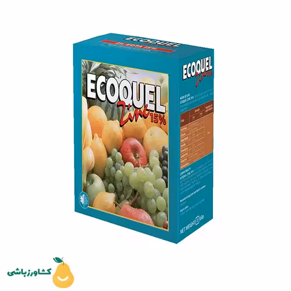 اکوکوئل روی فروغ دشت