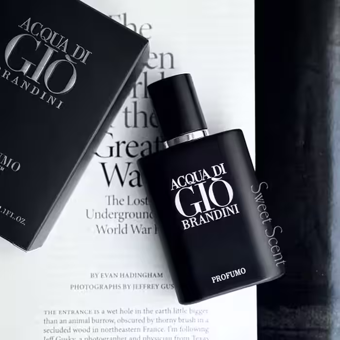 عطر و ادکلن مینی جیورجیو آرمانی آکوا دی جیو پروفومو (جیو مشکی) برندینی | Giorgio Armani Acqua di Gio Profumo Brandini حجم 33 میل