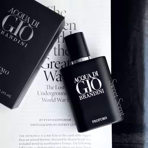 عطر و ادکلن مینی جیورجیو آرمانی آکوا دی جیو پروفومو (جیو مشکی) برندینی | Giorgio Armani Acqua di Gio Profumo Brandini حجم 33 میل