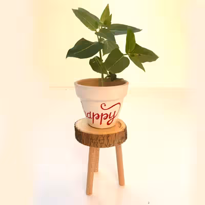 گلدان سفالی پاستل گالرئ مدل یاقوت کد 3