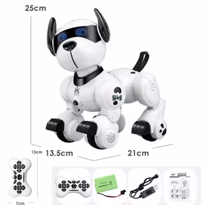 ربات کنترلی مدل K27 کد 23