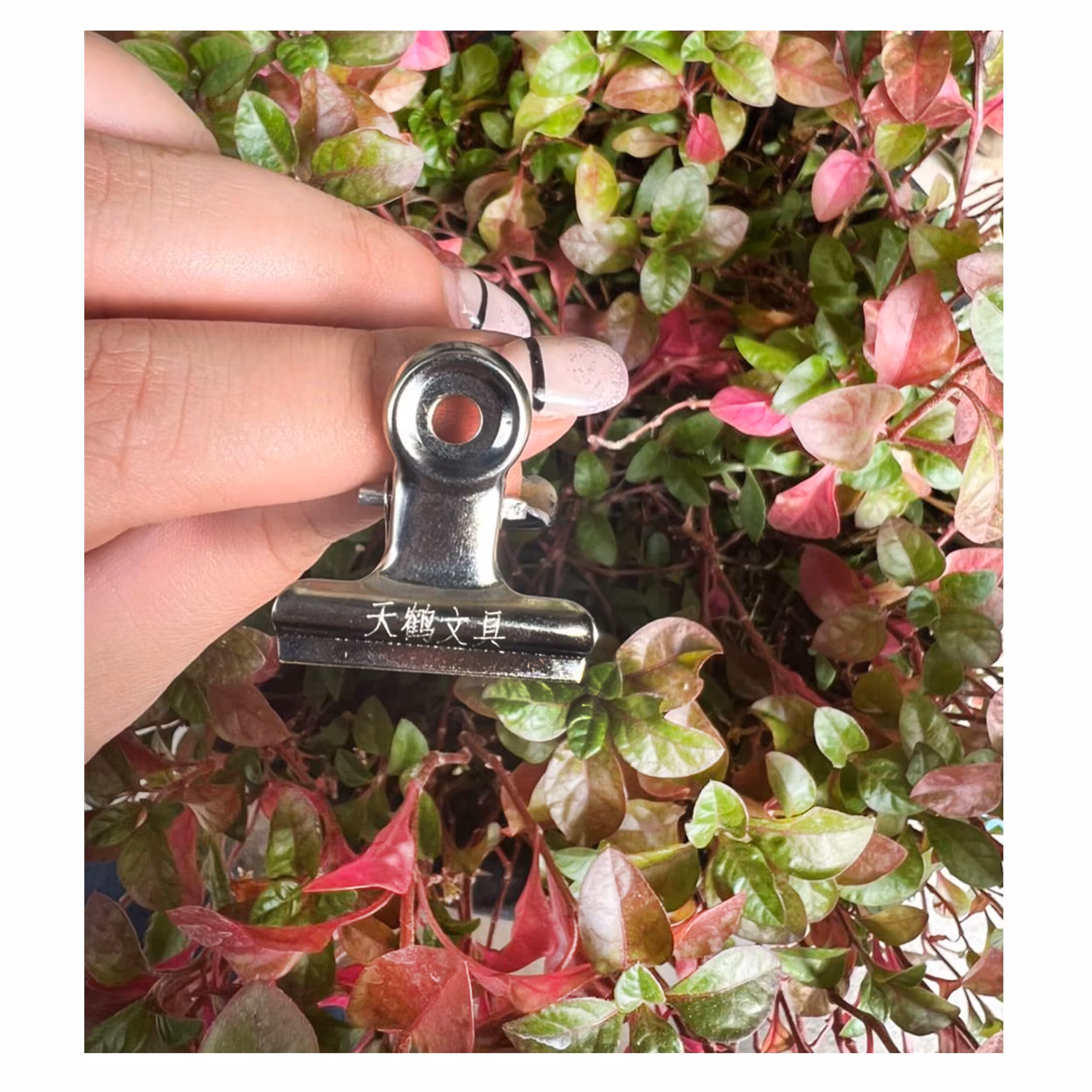 پینچر ناخن مدل PIN4477-S3-1