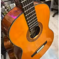 گیتار یاماها الین تخفیف ویژه 