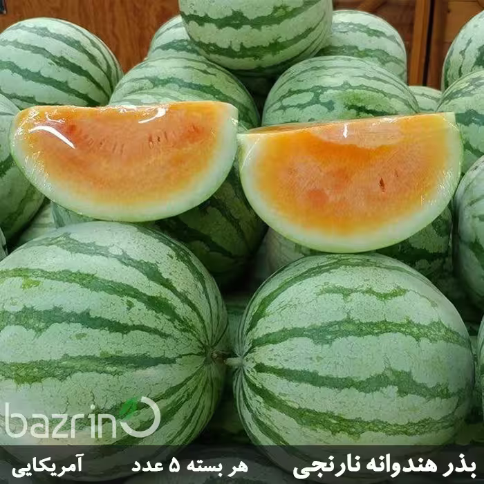 بذر هندوانه نارنجی