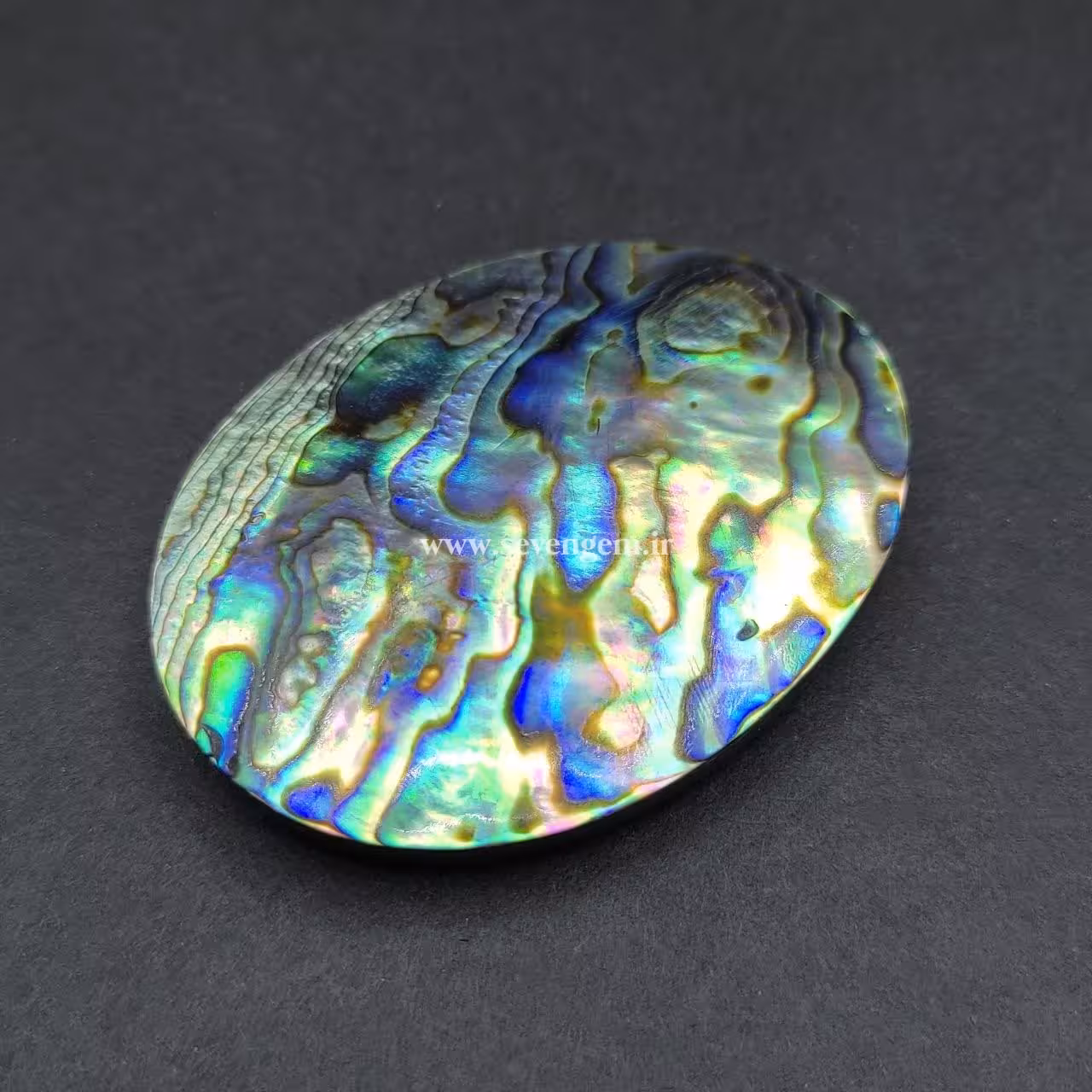 نگین بزرگ صدف آبالون کلکسیونی (کدA956)