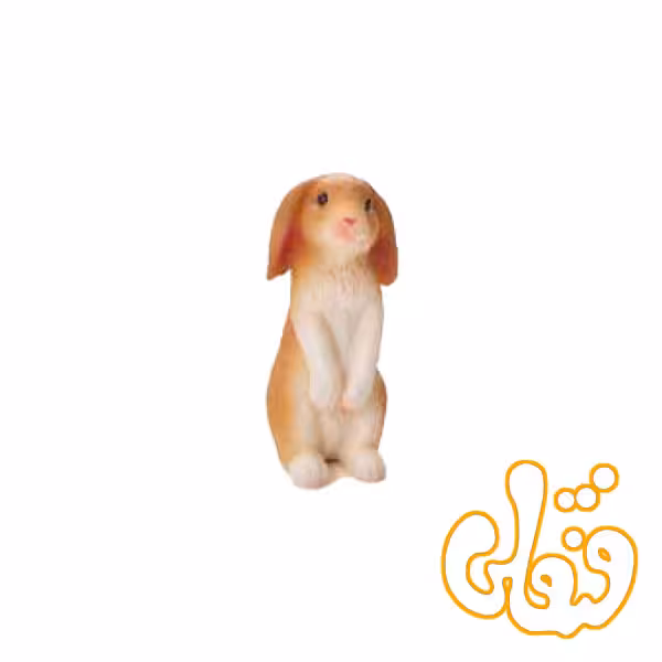 خرگوش نشسته Rabbit Sitting 387141
