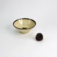 کاسه غذا خوری (رامن) مینو