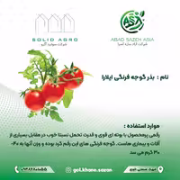 بذر گوجه فرنگی آیلارا پاکت  1000 عددی