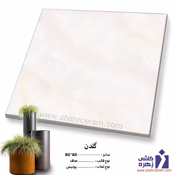 سرامیک پرسلان گلدن 80*80 کاشی زهره