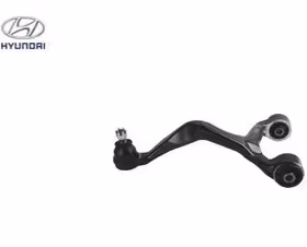 طبق عقب راست سوناتا NF جنیون |genuine