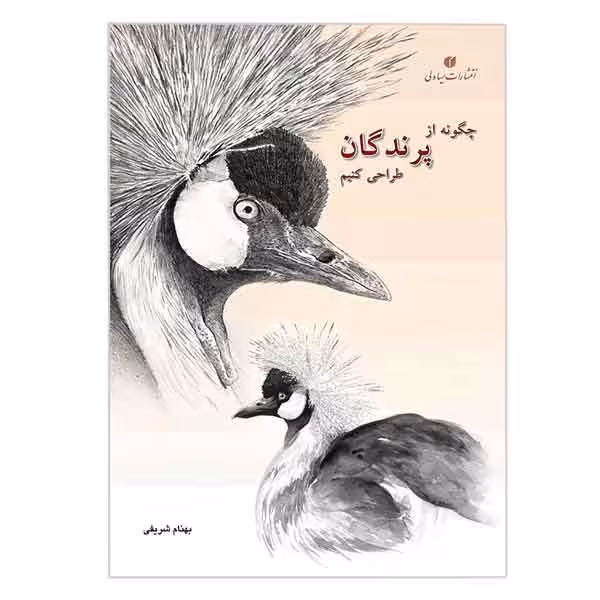 کتاب چگونه از پرندگان طراحی کنیم (بهنام شریفی)