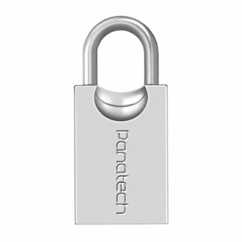 FLASH panatech 403 32GB