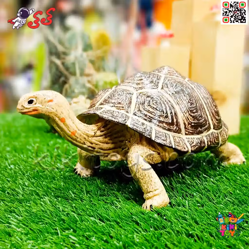 فیگور حیوانات ماکت لاک پشت اسباب بازی 1312 Land turtle figure