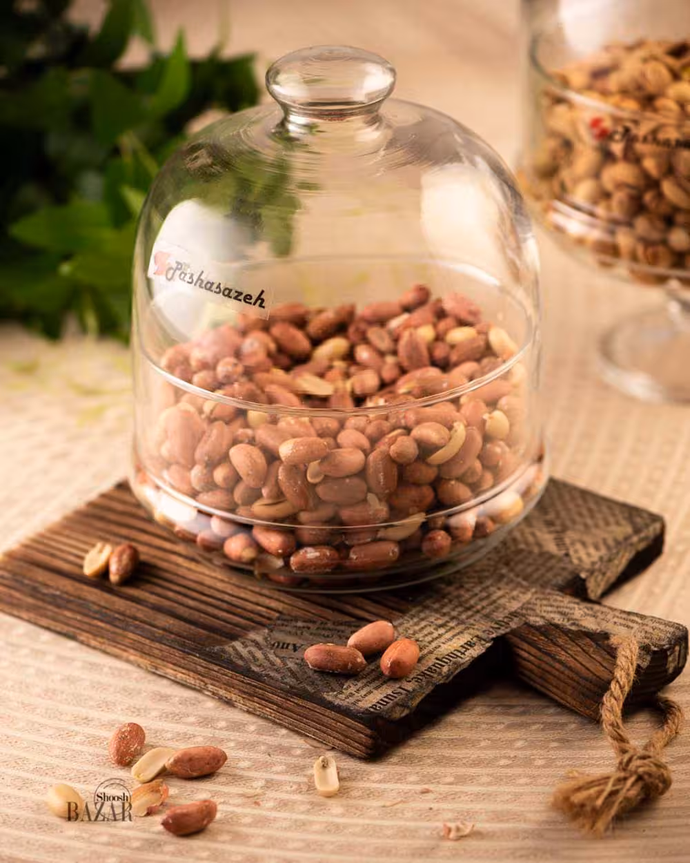 عسل خوری بیسیک پلاس پاشاسازه کد 49009