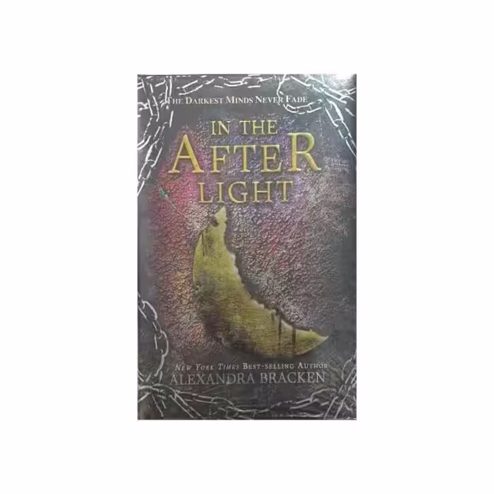 IN THE AFTER LIGHT