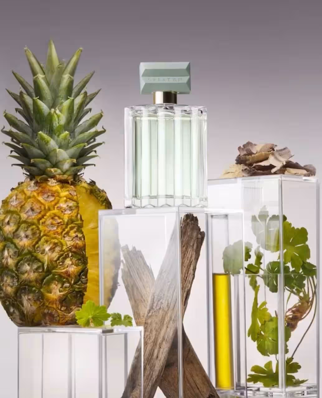 ادوتویلت مردانه گریتر