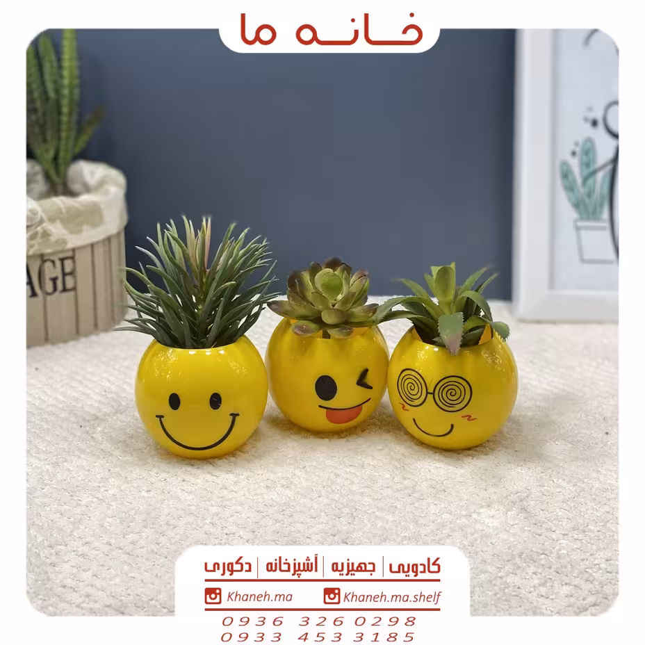 گلدان ایموجی مدل emj0