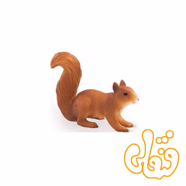 سنجاب دونده Squirrel Running 387032