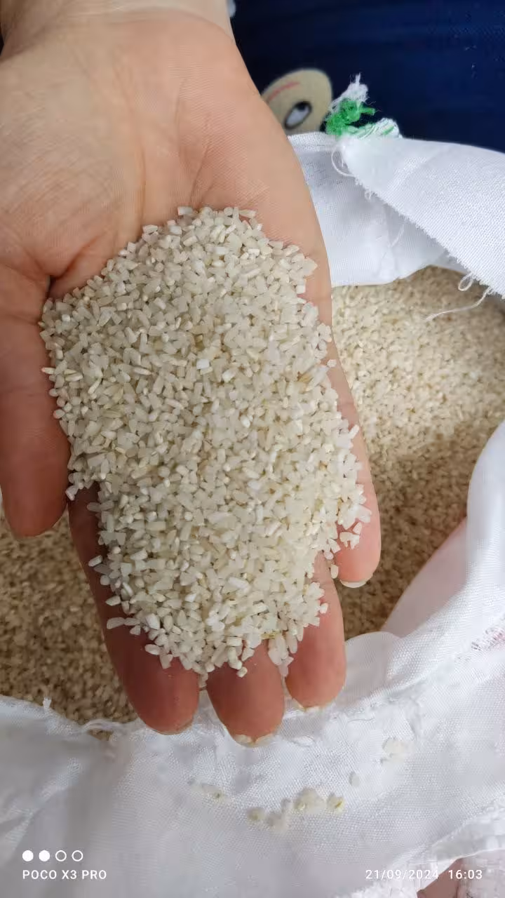 برنج نیم دانه (شکسته) شمال جویبار 10 کیلویی