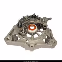 دیود دینام پژو 206 با درپوش برند AFER