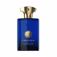عطر آمواج اینترلود مردانه ادوپرفیوم 100 میل