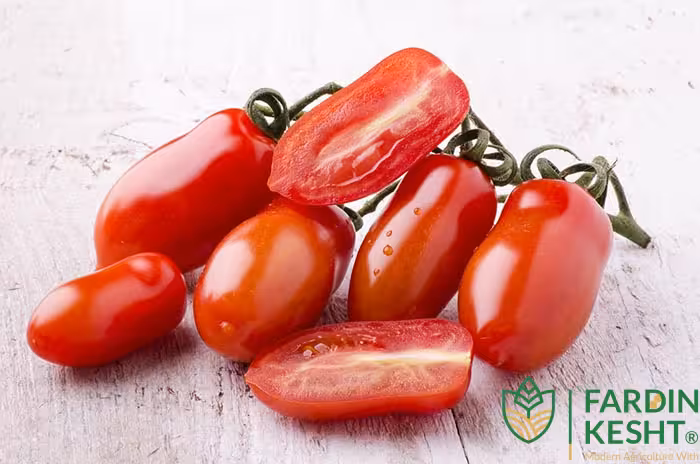 بذر گوجه فرنگی سان مارزانو ایتالیایی بسته 30 عددی