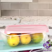 فريزري رضا ماهرخ 2 (3عددي)