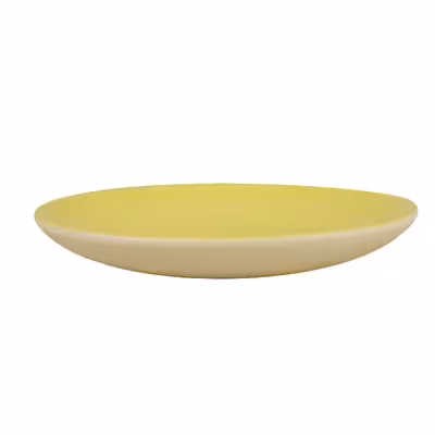 بشقاب سرامیکی طرح پلوخوری مدل پاستلو بسته 6 عددی