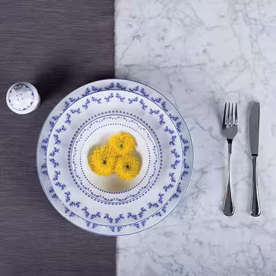  سرویس غذاخوری 29 پارچه چینی زرین ایران مدل نئوکلاسیک فرانسیس درجه عالی