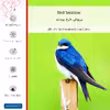 برچسب پوششی ماهوت مدل Bird Swallow مناسب برای گوشی موبایل نوکیا Lumia 530