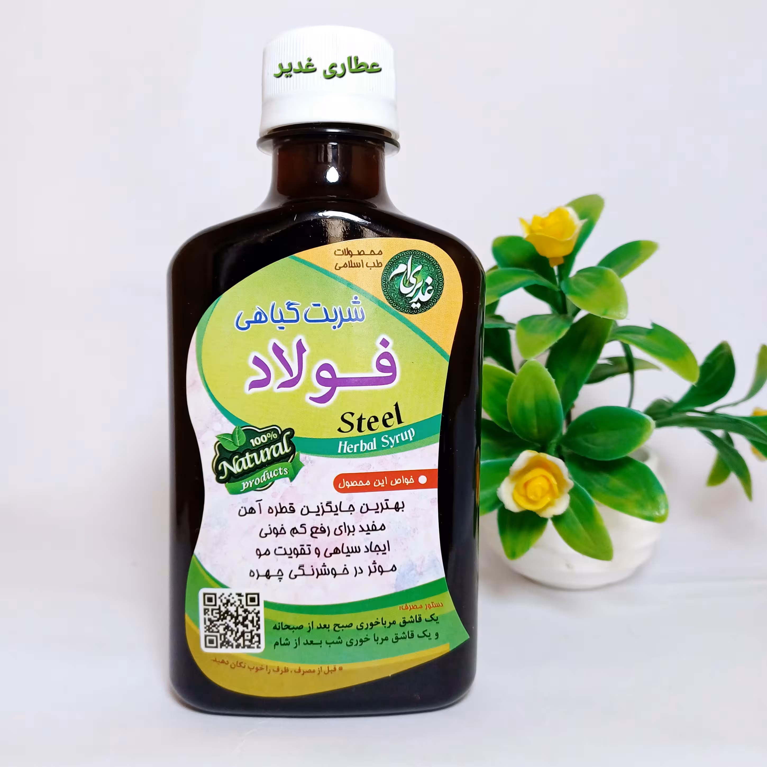 شربت فولاد (خونساز)