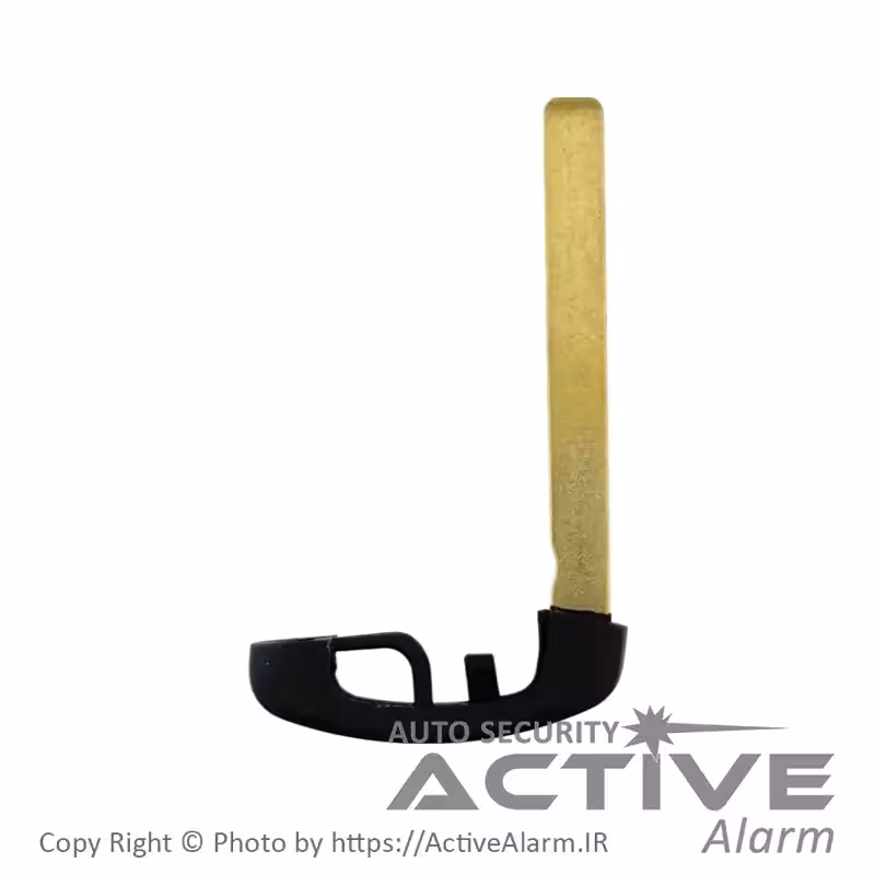 قیمت تیغه ریموت فابریک خودرو BMW سری F مشکی