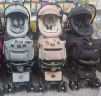 سرویس کالسکه، کریر و ساک دلیجان