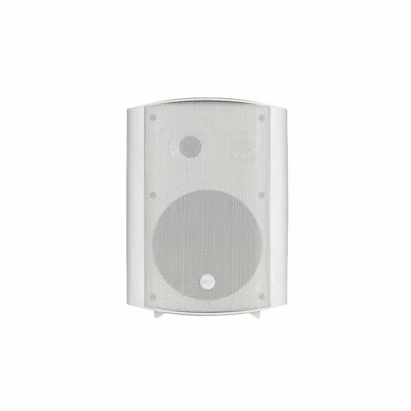 بلندگو دیواری آر سی اف RCF DM61