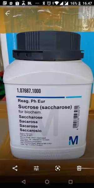 ساکارروز برند مرک آلمان کد 107687