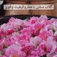 گلاب ممتاز خالص وطبیعی بدون ذره ای اسانس شیمیایی