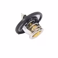 ترموستات خودروی کیا کادنزا