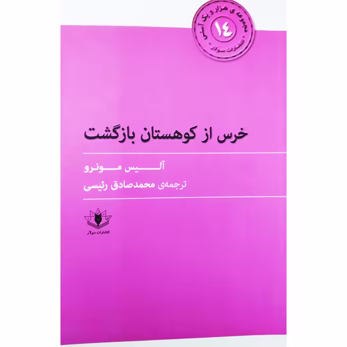 کتاب خرس از کوهستان بازگشت چاپ اصل و نو با تخفیف ویژه اثر آلیس مونرو ترجمه محمد صادق رئیسی انتشارات سولار چاپ تمام