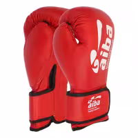 دستکش بوکس آیبا مدل pro 2000