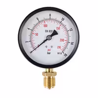 گیج فشار صفحه 10 سانت خشک 16 بار